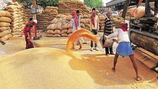 Ban on export of rice